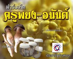ฟาร์เห็ด ครูพยงค์-อนันต์